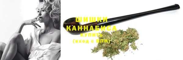 ПСИЛОЦИБИНОВЫЕ ГРИБЫ Алзамай