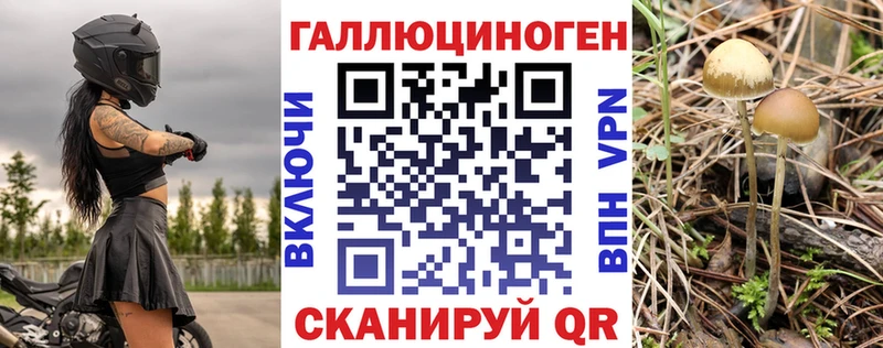 купить наркоту  Лаишево  Псилоцибиновые грибы прущие грибы 